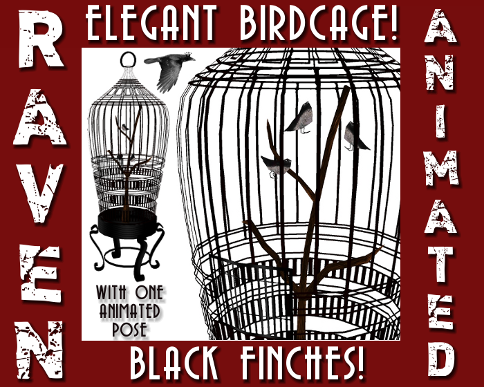BLACK FINCH BIRDCAGE png