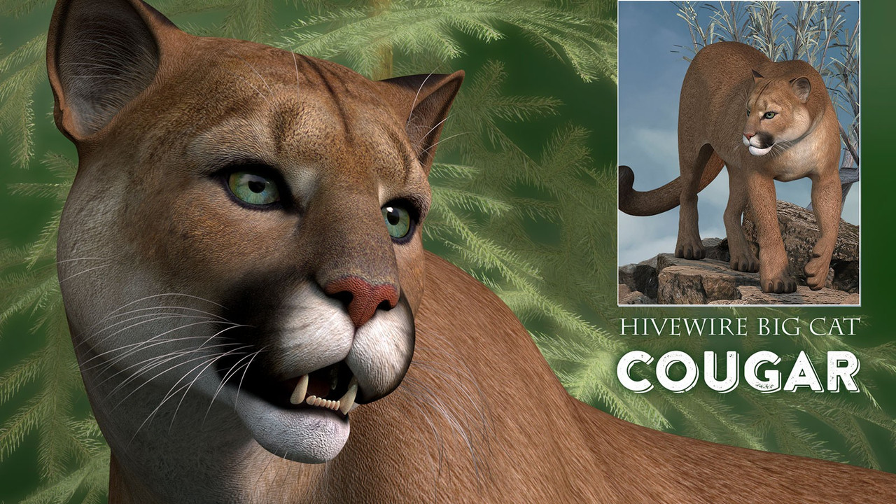 HiveWire Cougar