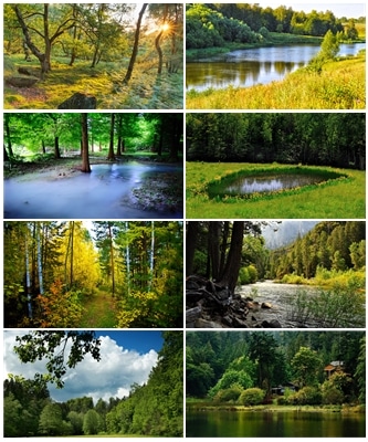 Wallpapers Collection - Wooded Landscape .jpg - 1920x1200 - 5120x3200