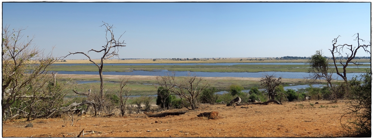 Chobe - Riverfront - Aventuras por Namibia, Botswana y Cataratas Victoria a nuestra bola (14)