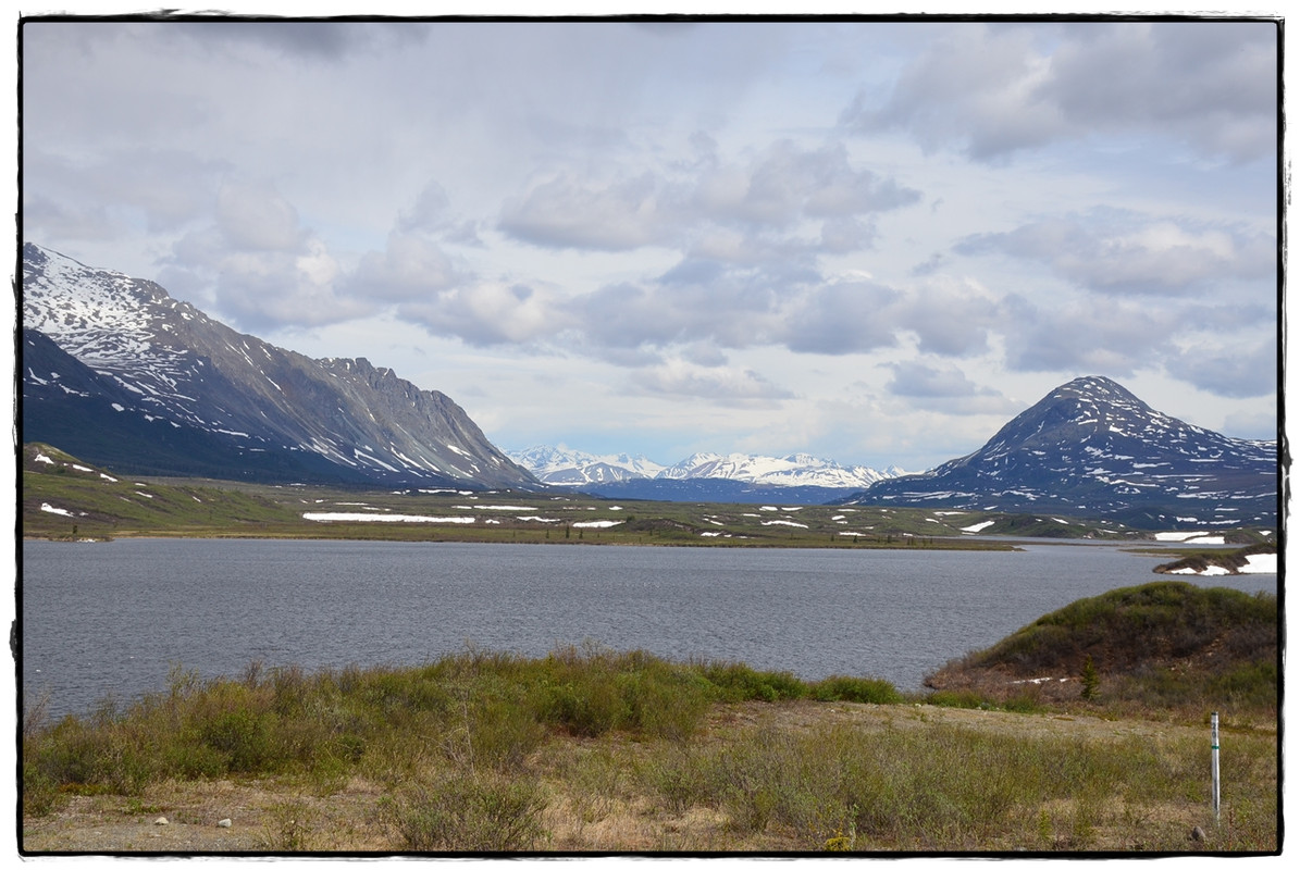 Alaska por tierra, mar y aire - Blogs de America Norte - 10 de junio. Denali Highway (1)