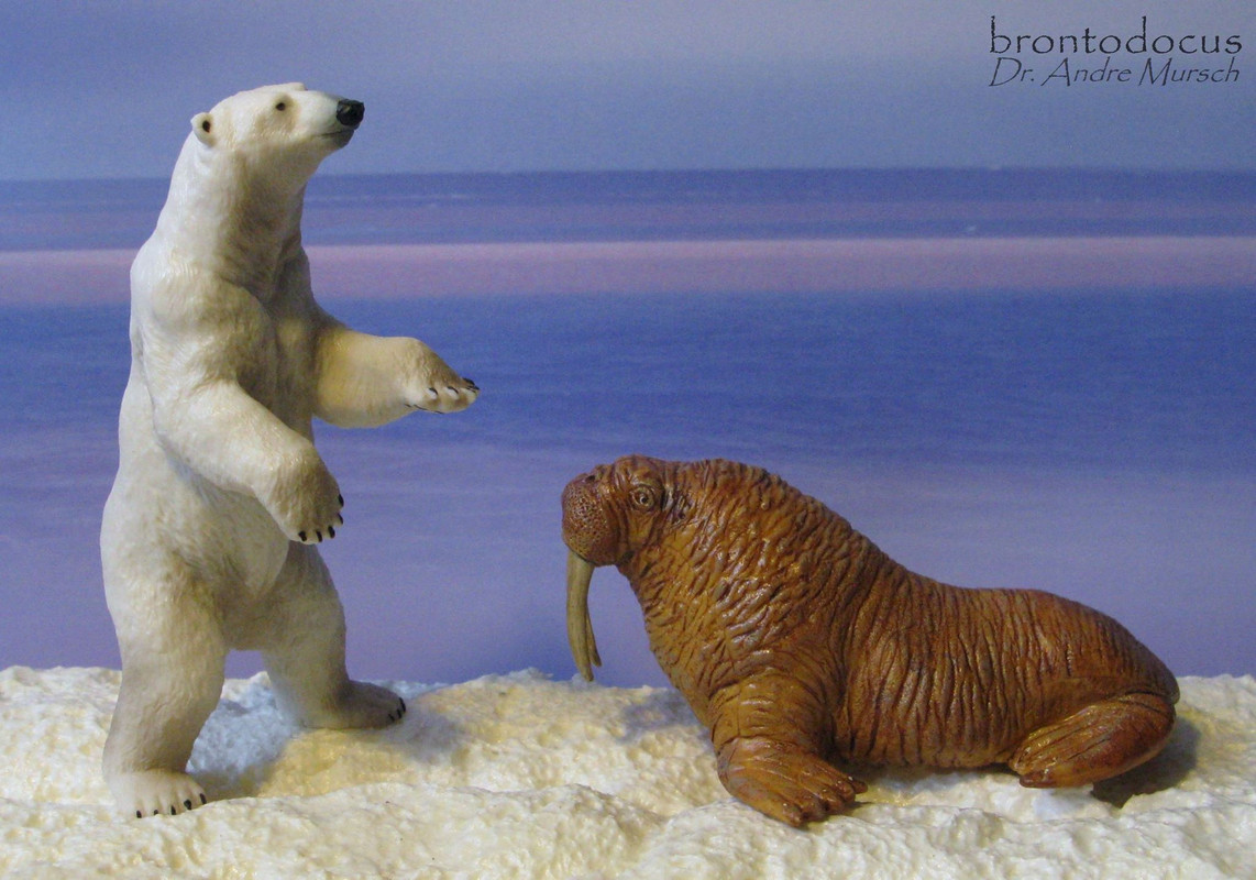 50172-NEW Papo Wild Animals-Standing Polar Bear Standing Polar Bear 