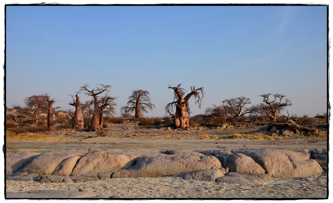 Kubu Island - Aventuras por Namibia, Botswana y Cataratas Victoria a nuestra bola (1)