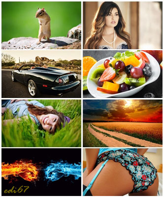 Wallpapers Collection - Pack 79 .jpg - 1600 x 2560