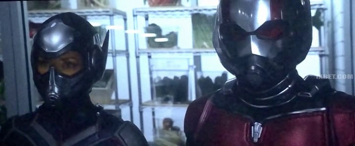 Ant-_Man_and_the_Wasp_2018_04.png