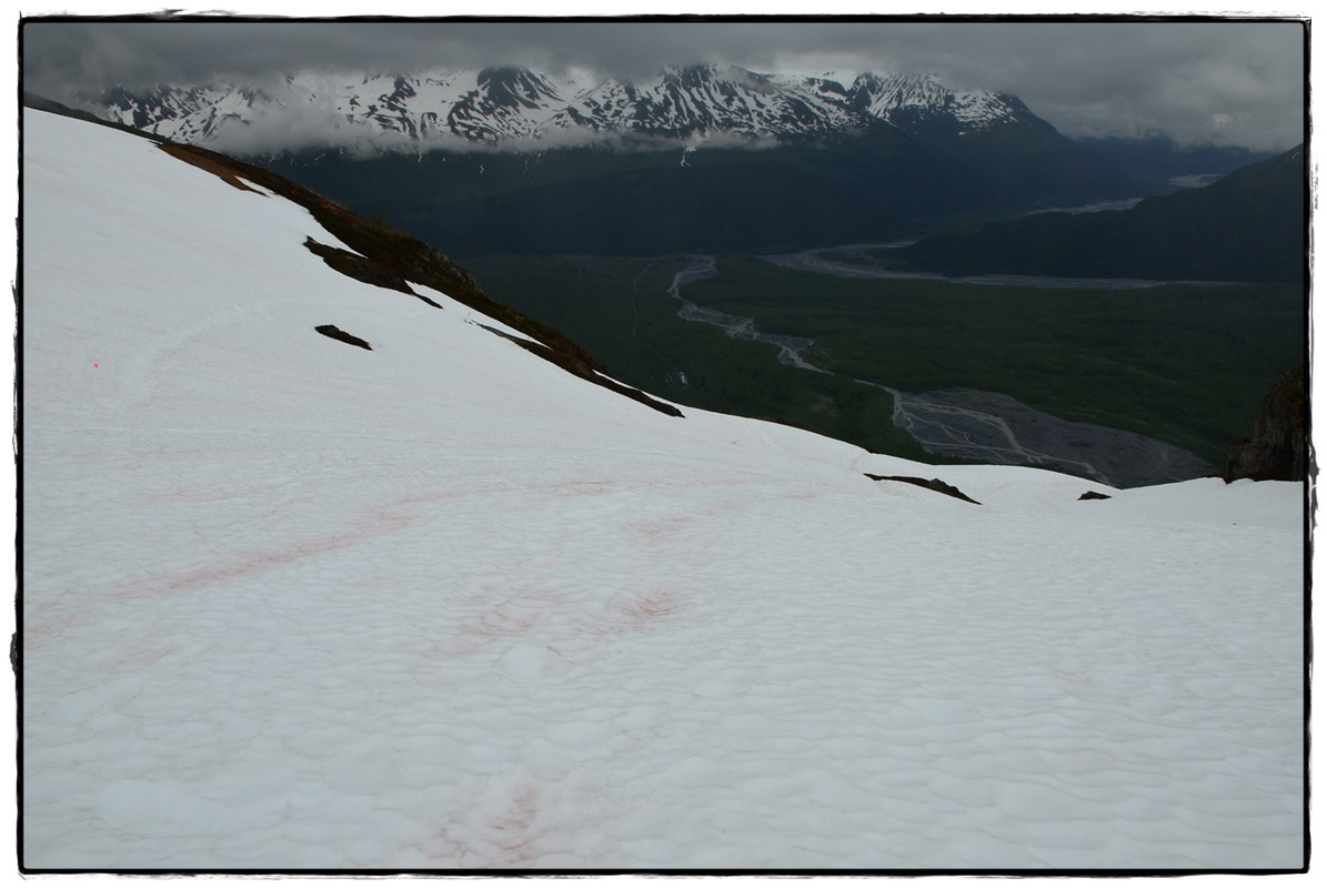 17 de junio. Harding Icefield y Sterling Hwy camino de Homer - Alaska por tierra, mar y aire (6)
