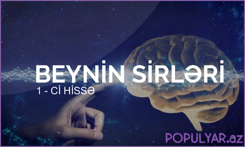 İnsan beyninin sirləri 1 - ci hissə (Video) İnsan beyninin sirləri 1 - ci hissə (Video)
