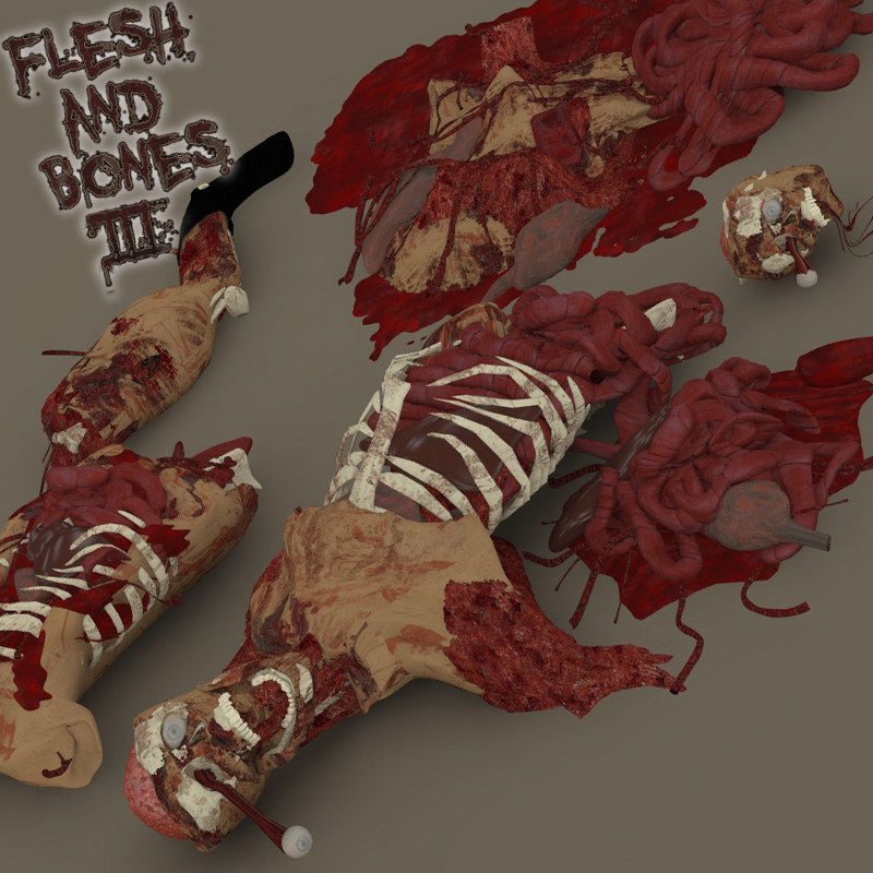 Flesh and Bones 3