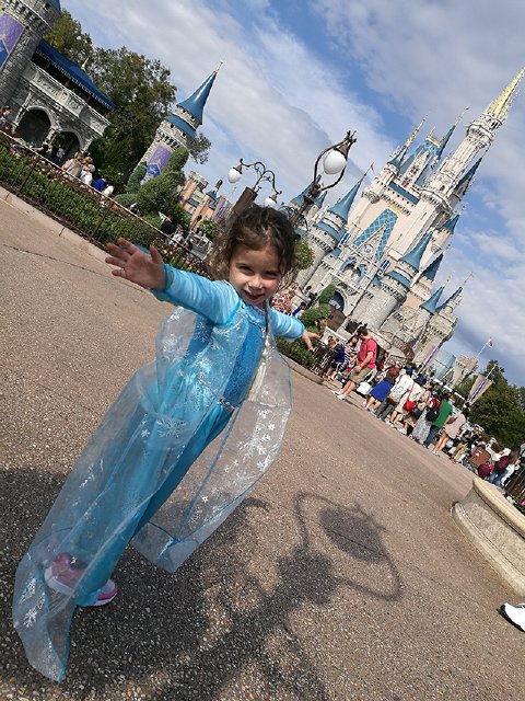 Y por fin... Disney. Magic Kingdom - Disney Orlando 2017 o No todos los Superhéroes llevan Capa  ;) (26)