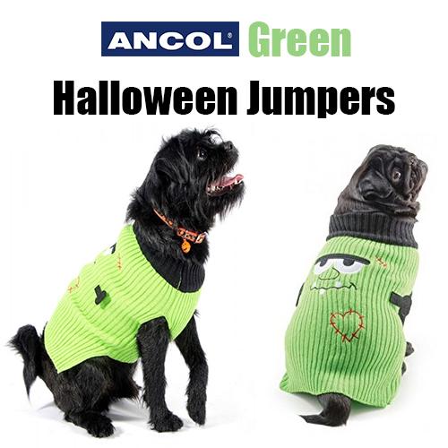 green dog jumper