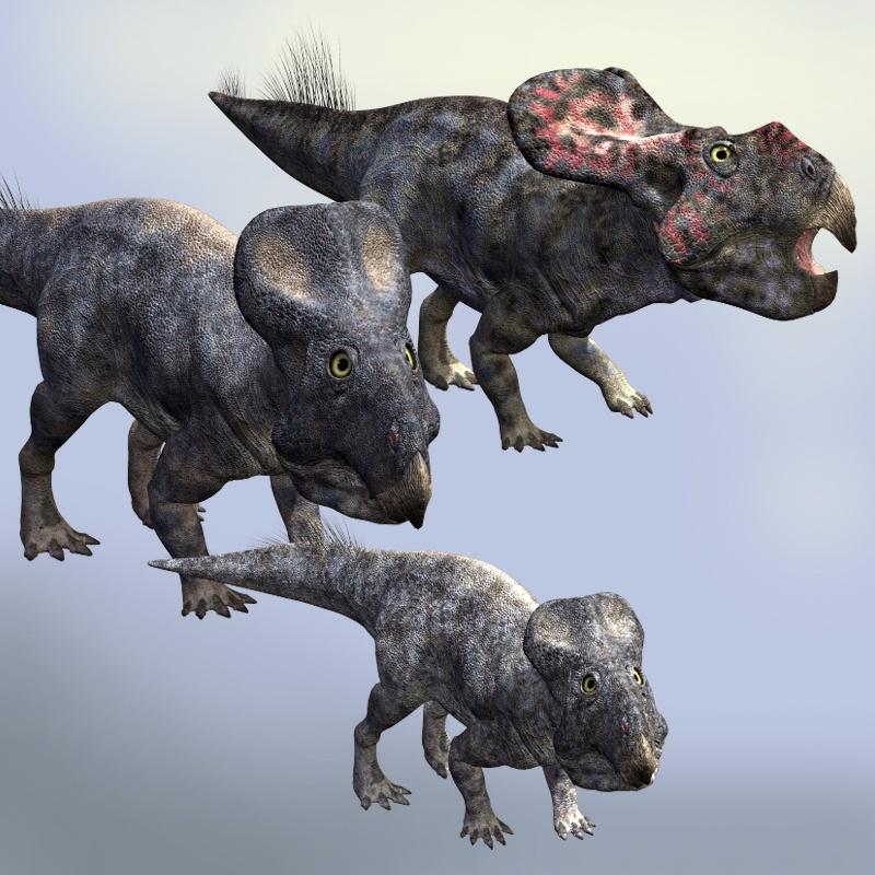 RO72389 Protoceratops DR