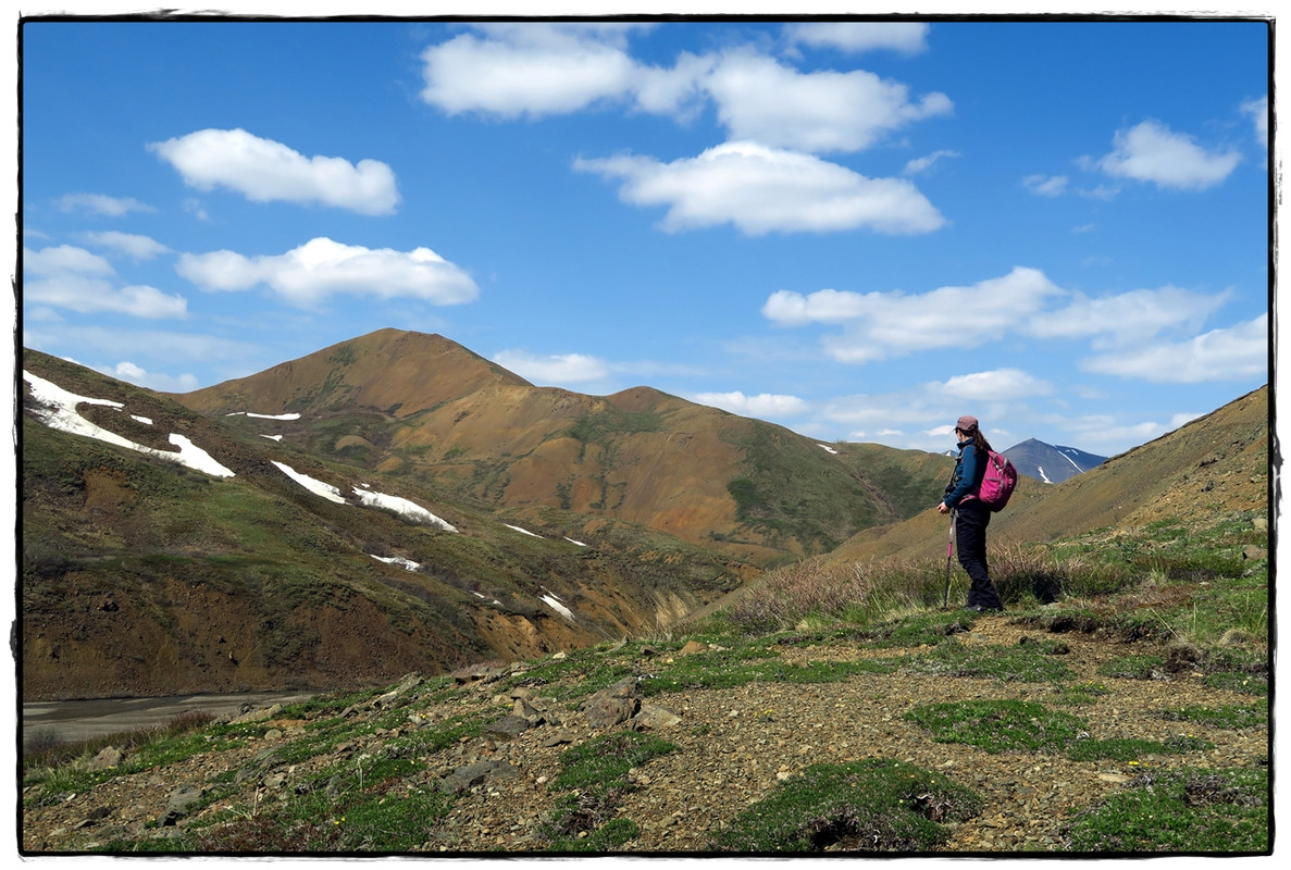 Alaska por tierra, mar y aire - Blogs de America Norte - 13 de junio. Denali NP: Disco hike (5)