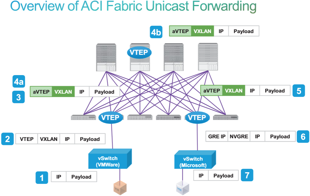 Cisco ACI (Application Centric Infrastructure)  Lab Test Drive