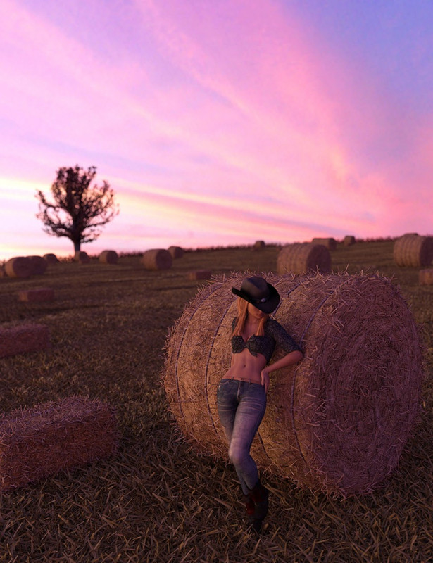 Harvest Hay Bales