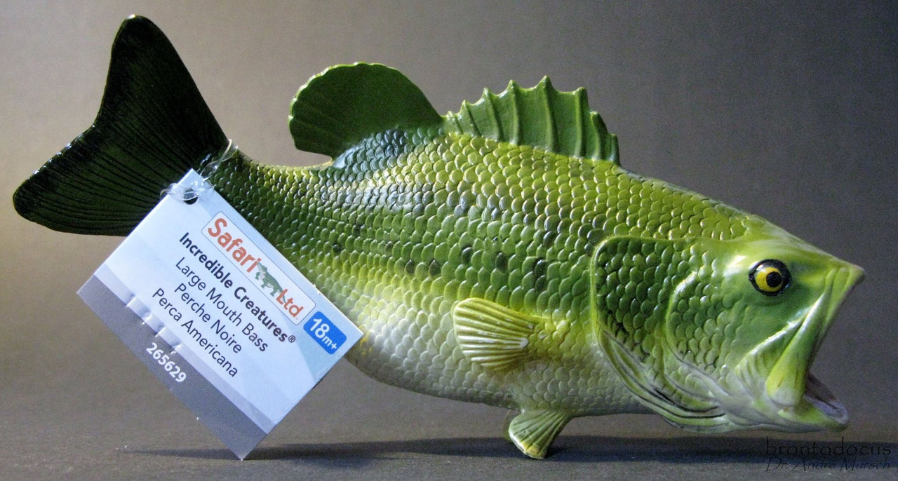 safari fish price