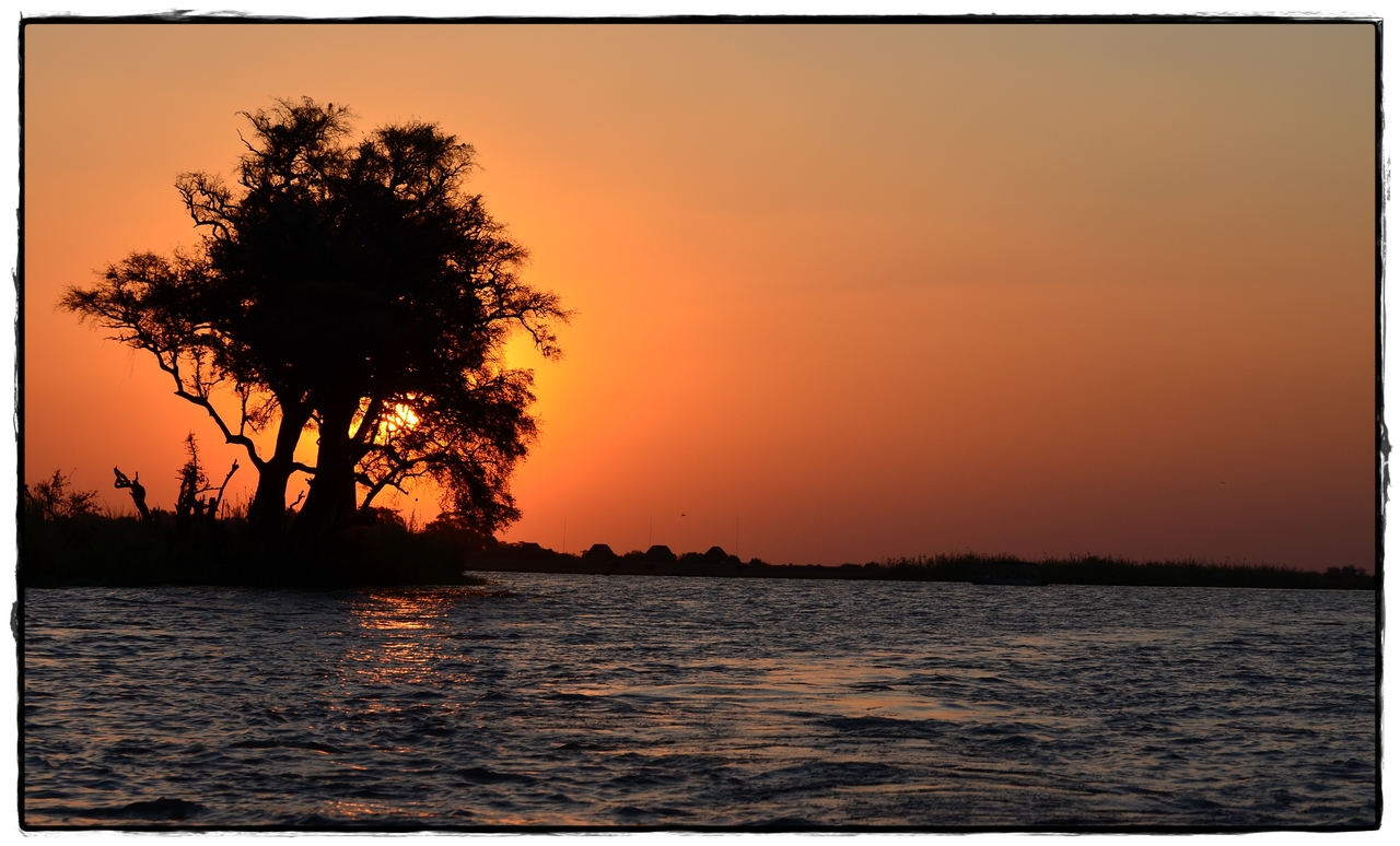 Chobe - Riverfront - Aventuras por Namibia, Botswana y Cataratas Victoria a nuestra bola (26)