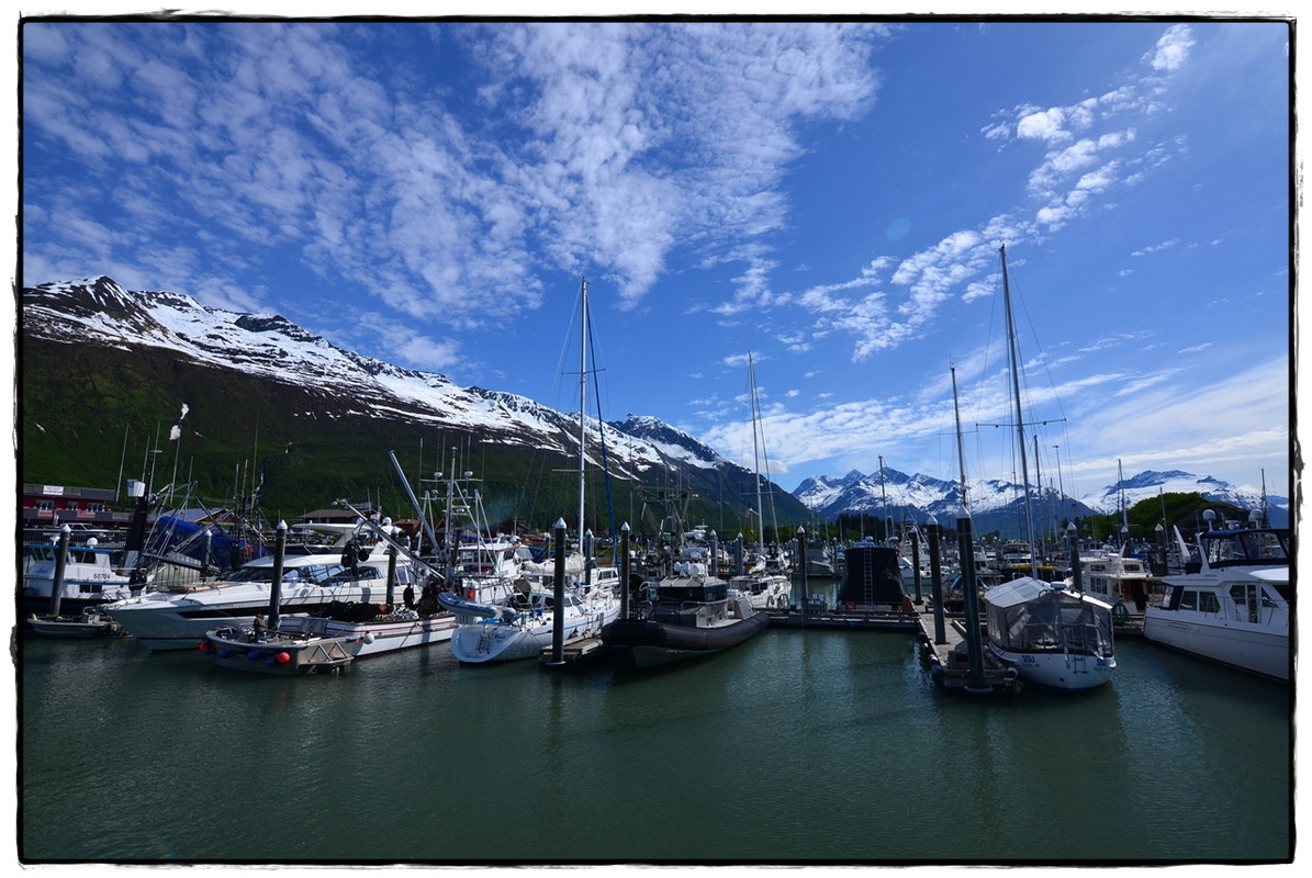 Alaska por tierra, mar y aire - Blogs of America North - 6 de junio. Crucero por el Prince William Sound (2)