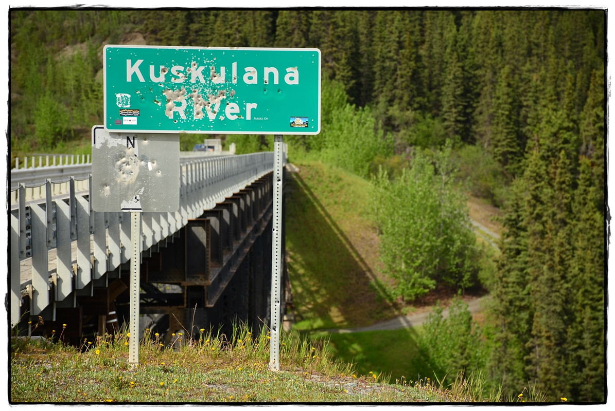 Alaska por tierra, mar y aire - Blogs de America Norte - 9 de junio. Glacier hike y vuelta a la civilización (14)