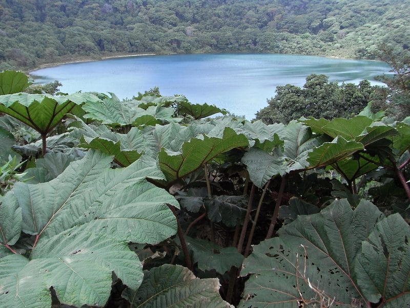 COSTA RICA: UN SOUVENIR DE TORNILLOS Y CLAVOS - Blogs de Costa Rica - SAN JOSÉ - VOLCAN POAS (4)