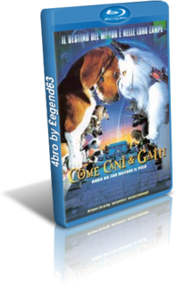 Come cani & gatti (2001).mkv BDRip 720p x264 AC3/DTS ENG AC3 iTA