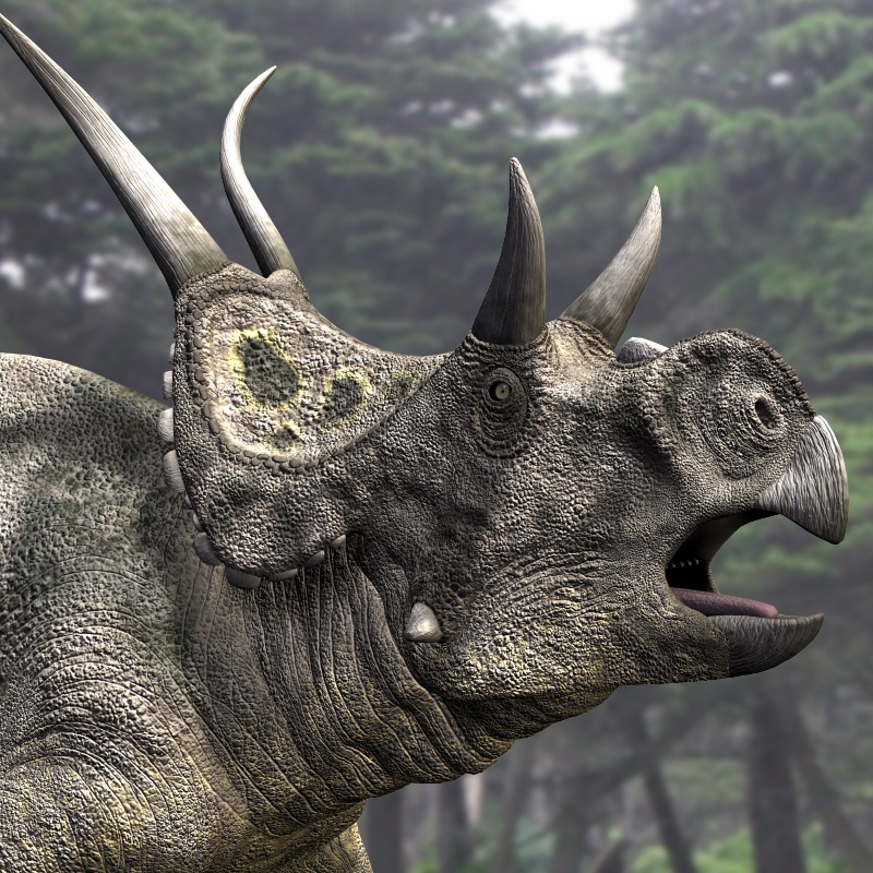RO73162 Diabloceratops DR