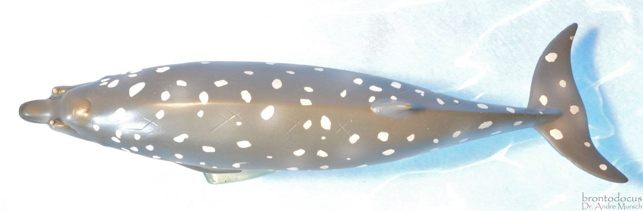 Blainville's Beaked Whale 17cm Water Creature Collecta 88761 Novelty for sale online 