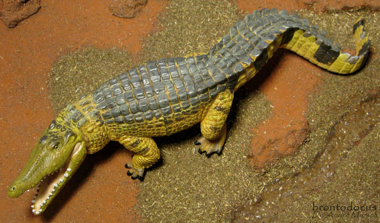 "Saltwater" Crocodile (Safari Ltd. - Incredible Creatures)