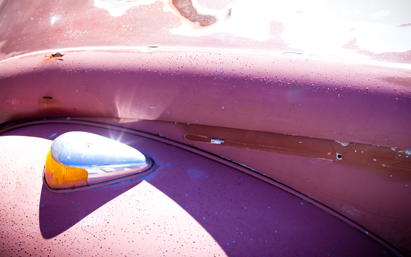 BLEED_GOLD_beetle08