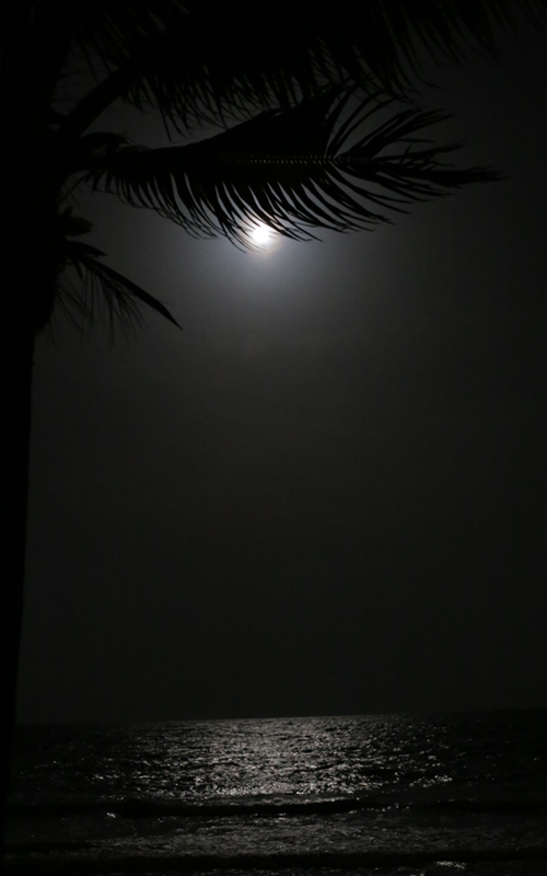 BLEED_GOLD_Catalonia_supermoon_04_zpsc339cd17