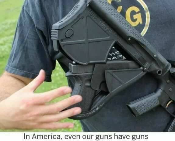 US_guns_have_guns.jpg