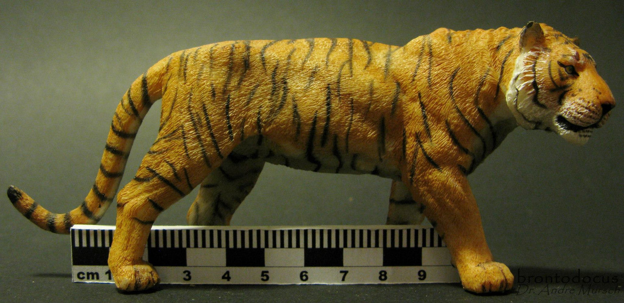Papo 50269 Wildtiere Stehender tigerjunges 