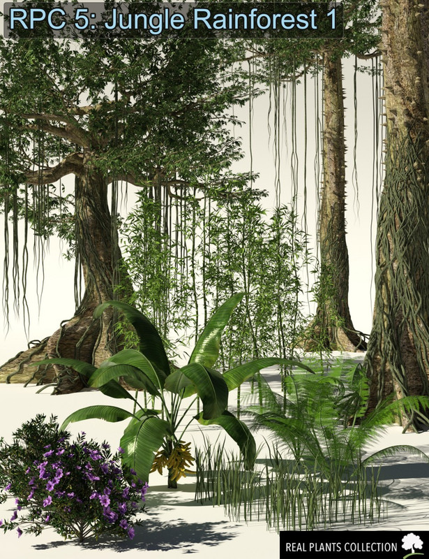RPC Volume 5: Jungle Rainforest 1 for Daz Studio and Vue