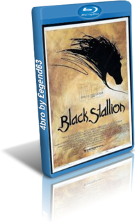 Black stallion (1979).mkv BDRip 720p x264 AC3/DTS iTA-ENG