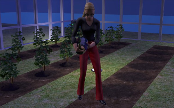 Lakewood_round1_312-600x375