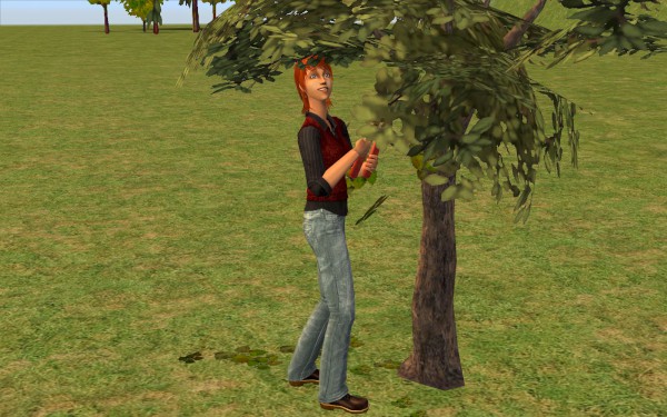 Lakewood_round1_168-600x375