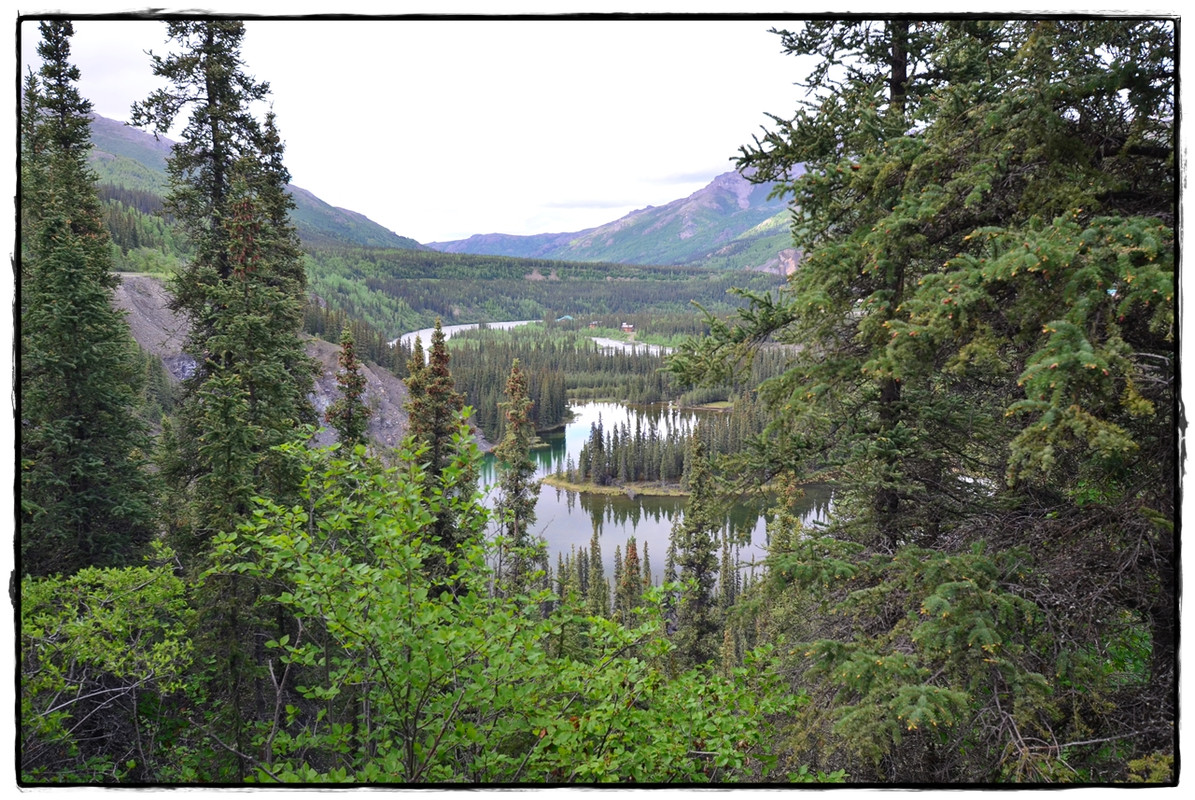 Alaska por tierra, mar y aire - Blogs de America Norte - 11 de junio. Llegamos a Denali National Park (11)