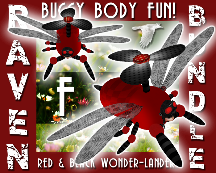 RED_AND_BLACK_BUGGY_BODY_BUNDLE_F_png