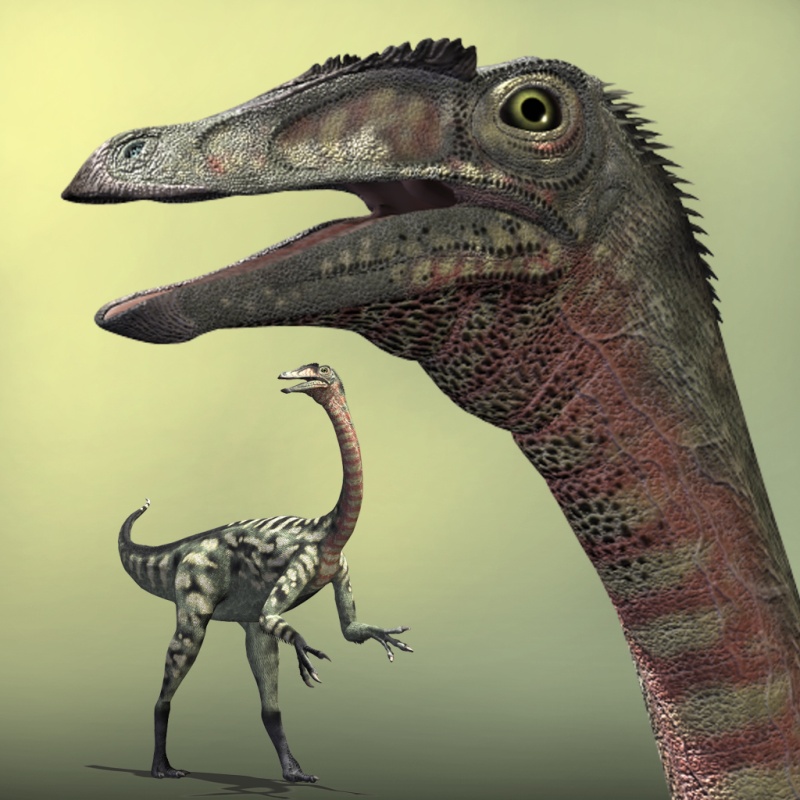 DeinocheirusDR