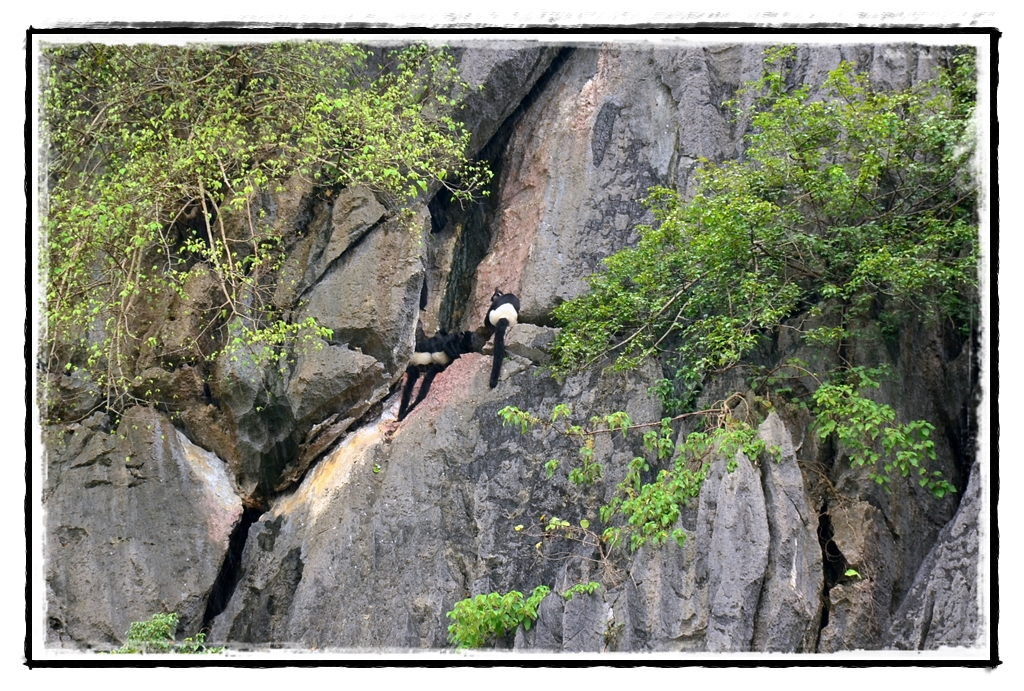 Día 16. Ninh Binh: Van Long Nature Reserve y Bai Dinh Temple - Vietnam y Camboya a nuestro aire (2)