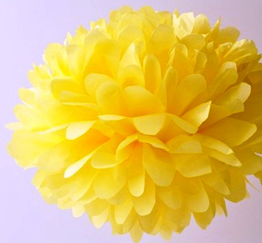 Tissue Paper Pom Poms Honeycomb Balls Fans Wedding Party Baby Living Room Deco - Picture 15 of 68
