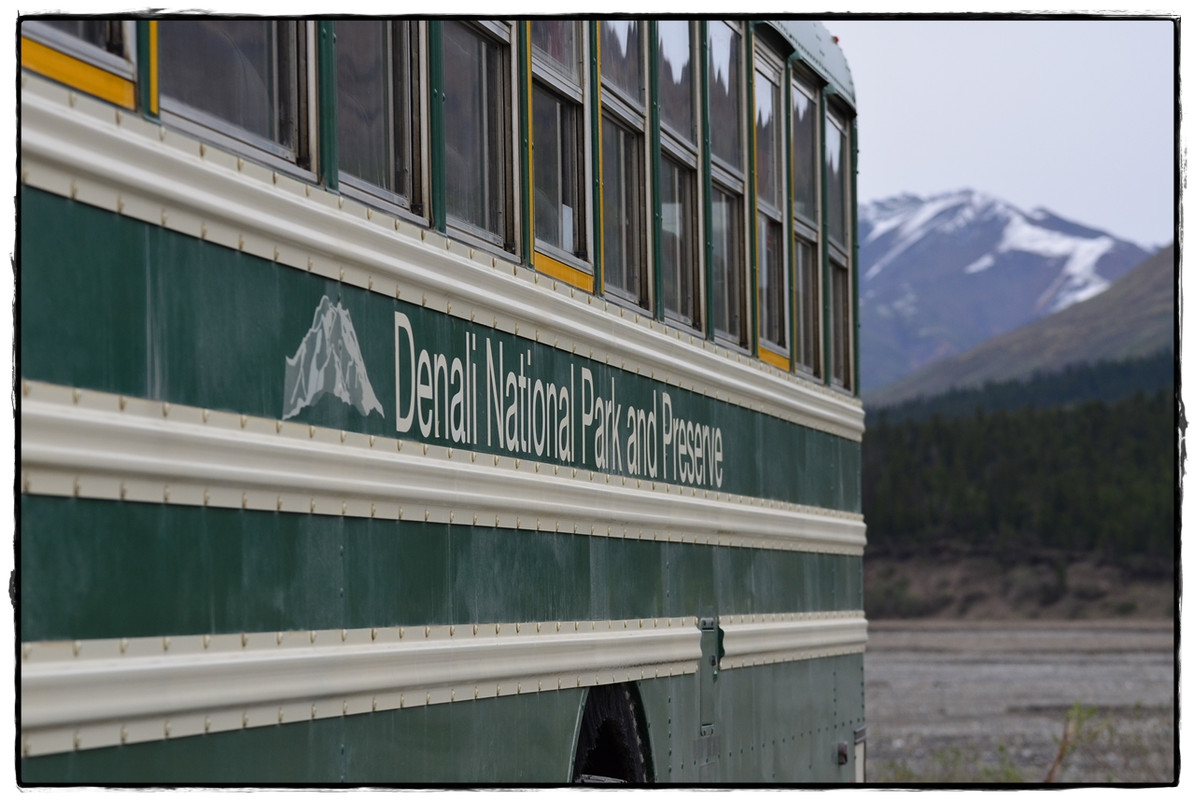 Alaska por tierra, mar y aire - Blogs de America Norte - 12 de junio. Denali NP: Bus a Wonder Lake (1)