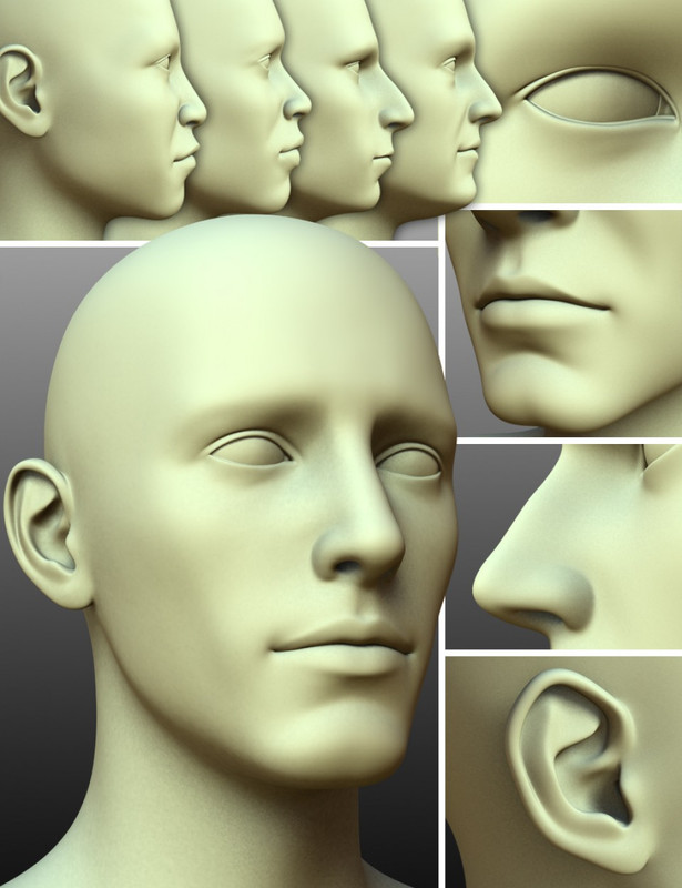 200 Plus – Head & Face Morphs for Genesis 3 Male(s)