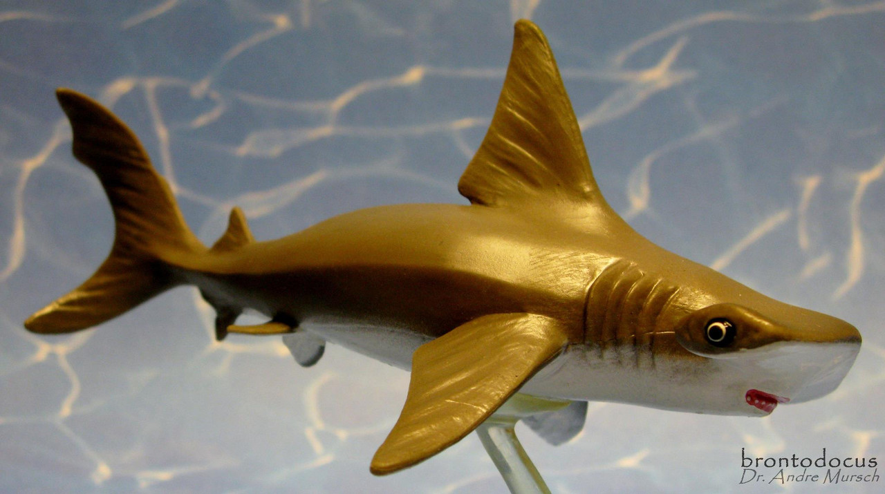 SAF267929 Safari Ltd Hammerhead Shark Baby Incred ible Creatu 